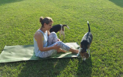 Hey Novice!  Pay Attention!!