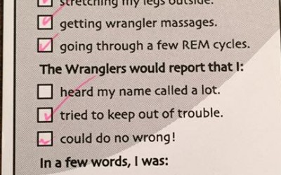 Wendi the Beagle Teaches Self-Care