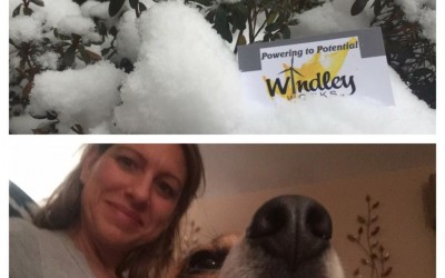 January……Rest or Run?