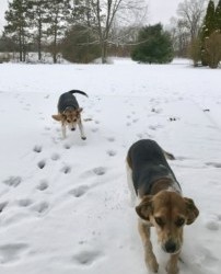 Are You Really A Lazy Bum?